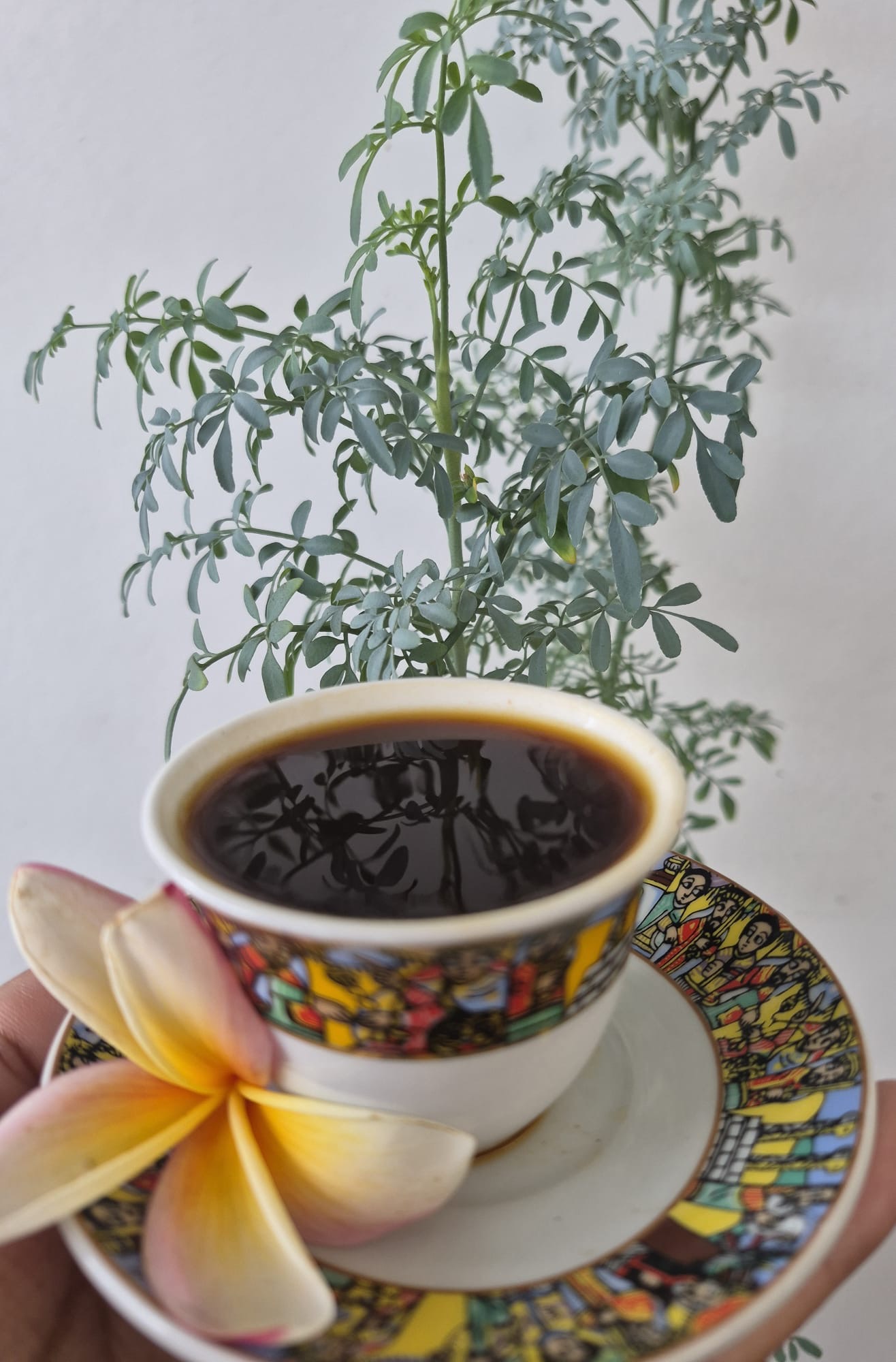 Coffee cherries